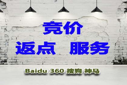 专业SEM服务公司案例分析报告